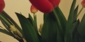 مرور الكرام – الحلقة 38 – للكاتب يوسف رقة ( أنتظر ُ موعداً )