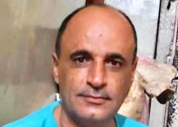 أمين غانم يكتب حول ترجمة ” الرواية العالمية “