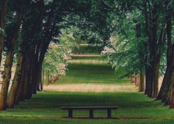 الجزء 4 من ” أمواج سمر ” للكاتبة سمر ي. الخوري ( رسالة اعتذار مهداة إلى الصديق اللدود )