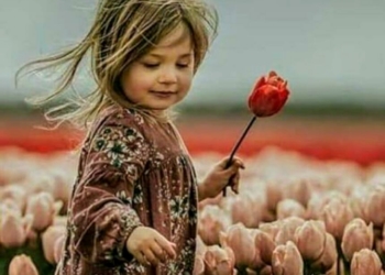 أمواج  سمر ( الجزء الثالث ) : ” هوشلة ” بقلم:  سمر الخوري .