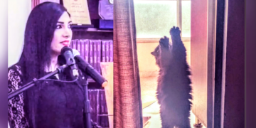 ” كيف أُخبر هرتي ” حكاية الكاتبة والشاعرة نريمان علوش