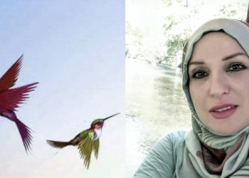 الشاعرة آمنة ناصر تكتب : ” تعال نسكن غيمة بيضاء “