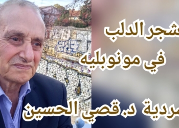 “دلبة مونوبليه ” سردية الكاتب د. قصيّ الحسين من فرنسا : الورق الأصفر لشجر الدلب ماذا يريد أن يقول ؟