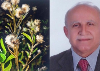 “زهرُ الطيّون للعام ٢٠٢٣ ”  للكاتب سمير الزين