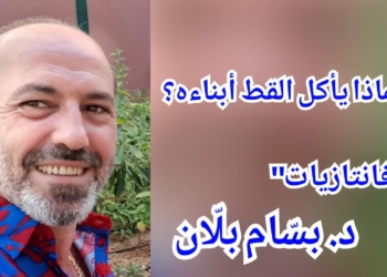 “فانتازيات” بقلم د. بسّام بلّان : لماذا يأكل القط أبناءه؟