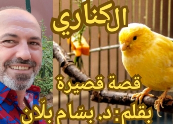 ” الكناري ” قصة قصيرة للكاتب الدكتور  بسّام بلّان