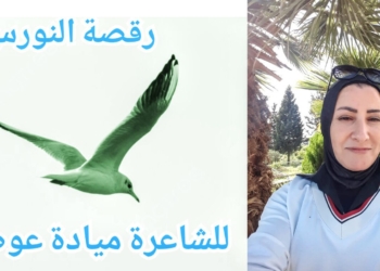 ” رقصة النورس ” قصيدة للشاعرة ميادة نبيه عوض