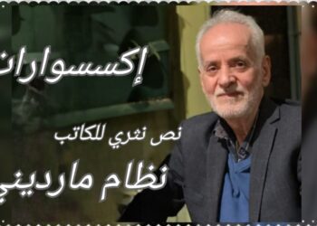 ” إكسسوارات ” نصوص نثرية للكاتب والشاعر نظام مارديني