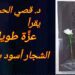 د. قصيّ الحسين يقرأ عزة طويل في ” لا شيء أسود بالكامل ” : رواية تماشي النيران وتجعلها تنطفئ ..