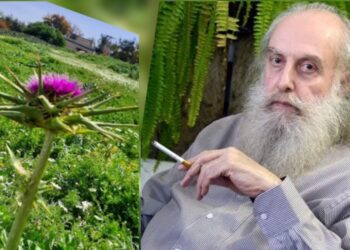 غاده رسلان الشعراني تقرأ ” الشمبر ” للكاتب محمود عيسى موسى : شخصيات الرواية تسبح مع الخيال لتقفز  إلى عالم الواقع