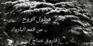 ” هطولُ الرُّوحِ مِن قِمَمِ الباروك ” مقالة الكاتب فاروق خدّاج