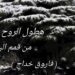 ” هطولُ الرُّوحِ مِن قِمَمِ الباروك ” مقالة الكاتب فاروق خدّاج