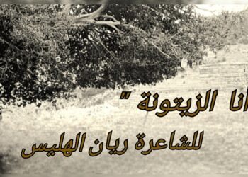 ” أنا الزيتونة ” قصيدة للشاعرة ريان الهليس