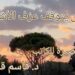 ” حين يتوقف عزف الأشجار ” قصة قصيرة للكاتب د. قاسم قاسم